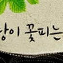 후후한의원 Daum카페