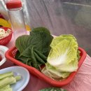 장포마차 이미지