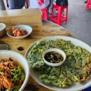 미나리광 이미지