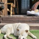 복돌네민박 이미지