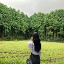 (주)제주해양레저체험파크 | 제주 여행지 추천: 관광택시로 편안하게 즐기는 제주 핵심 명소 8