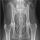 유니온동물의료센터 이미지