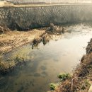 물반고기반낚시터 이미지