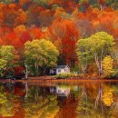 가을 숲으로 가자 이미지