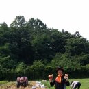 소석농장 이미지