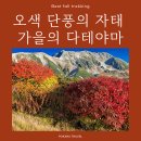 [홍코너] 고산의 가을 자태를 느끼고 싶다면, 짧고 굵게 다테야마로! 이미지