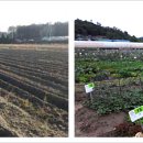 광명농장2 이미지