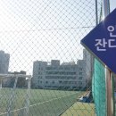 수원종합운동장 인조잔디구장 이미지