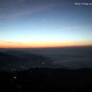 사랑코트 이미지