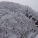 춘하추동 Daum카페