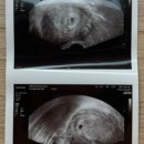 아이오라여성의원 이미지