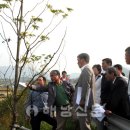 국도13호선 가로수 이미지