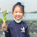 뽑기농장 이미지