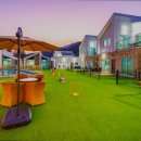 골드애견 이미지