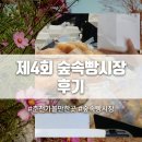 제4회 숲속빵시장 후기 강원도 빵축제 추천 하는 이유