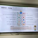 영등포구 영등포구보건소 | 영등포구 보건소 해피맘 출산준비교실 수강 [30W]