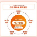 래미스킨