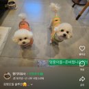 샘마을길 4-1 | [화성 봉담 카페] 이플 : 아로마 테라피와 족욕을 즐길 수 있는 이색 공간