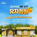 오렌지라임약국 이미지