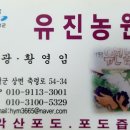 유진농원 이미지