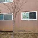 웅천부영2차아파트 이미지