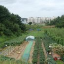 반곡 농장 이미지