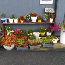 너래안농장 이미지