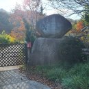 하늘재 숲속 힐링 도서관 이미지