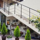 마리네 동물병원 이미지