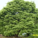 등너머약수터 이미지