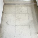 씨유진주정촌올리움점 | 진주 정촌 올리움 입주청소 반려동물 집 후기