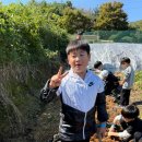 다산태권도 명인태권도장 이미지