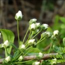 가을농원 이미지