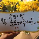 도도한공방 이미지