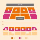 큐티클럽 | [공연 소식] 출국하자마자 또 온다고?! 큐티 스트릿(CUTIE STREET) 2026 여름 내한 콘서트 개최 확정...