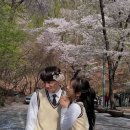 샛별D&P 이미지