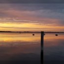 대청호코스 이미지