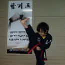 비호 합기도 이미지