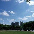 푸르른날 이미지