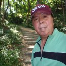 예술관길 이미지