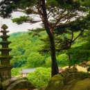 용현계곡입구 주차장 이미지