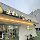 프로네앞마당 이미지