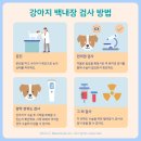 원당동물병원 - 고양시 덕양구 마상로126번길 97 | 원당동물병원
