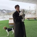 재롱펫