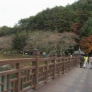 지촌목장 네이버블로그