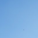 오조리-5 이미지