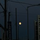 스피드카프라자 이미지