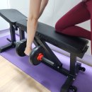 프레스 헬스 | 가정용 벤치프레스 헬스럽 프로 500 사용 후기