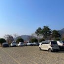 꽃나루공원화장실 | 김해 용당나루 매화공원 데이트 피크닉 산책 가기 좋은 봄 꽃 명소