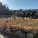 서종무너미 공인중개사사무소 이미지